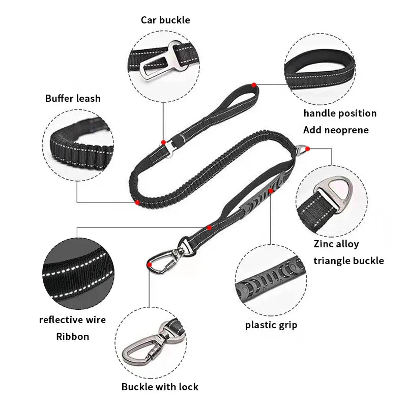 The Ultimate Leash & Harness Combo
