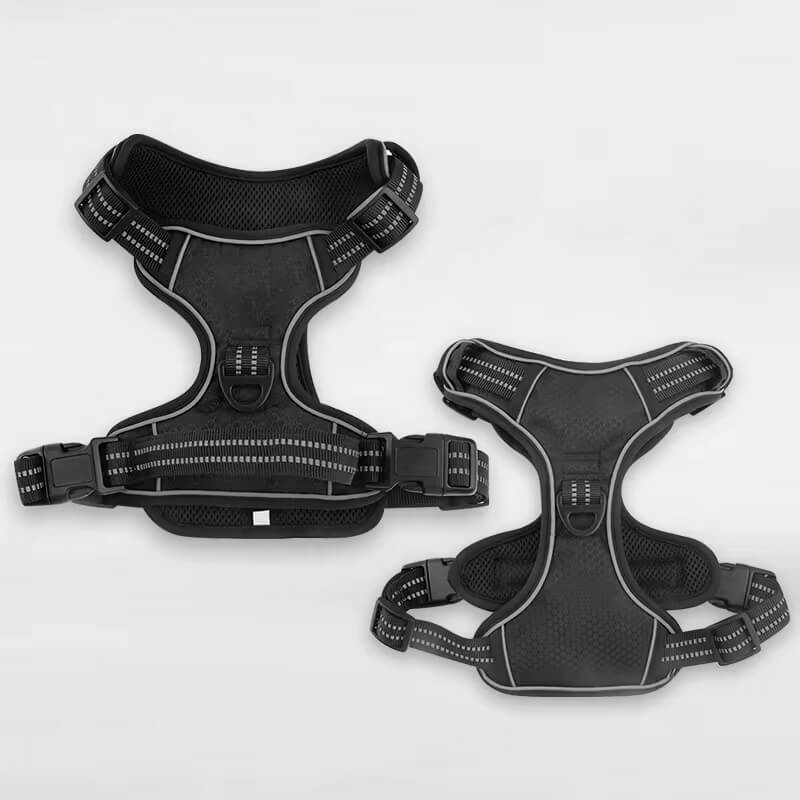 The Ultimate Leash & Harness Combo