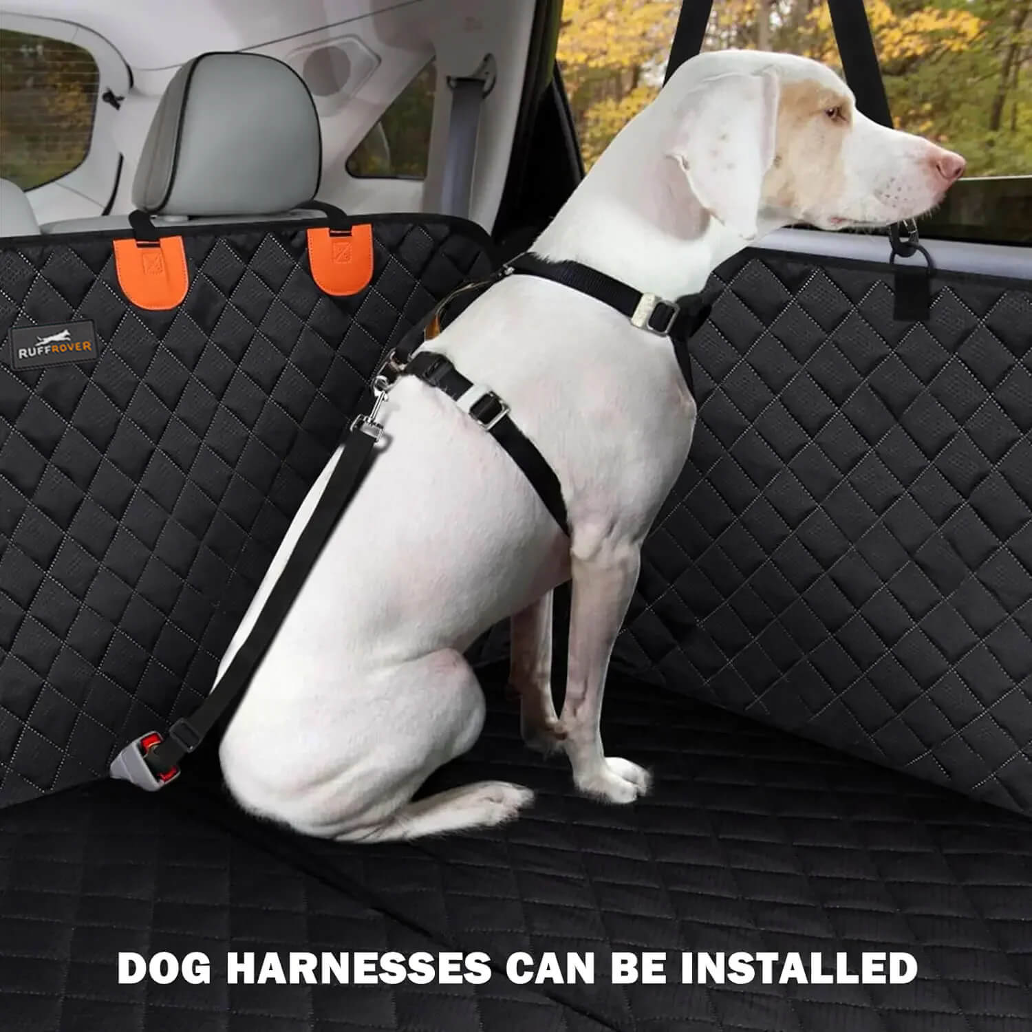 RuffRover Hard Bottom Dog Car Seat Protector (FREE Dog
