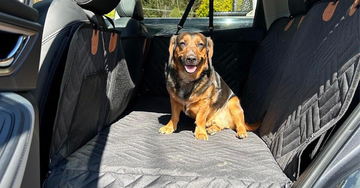 All Products – Ruff Rover