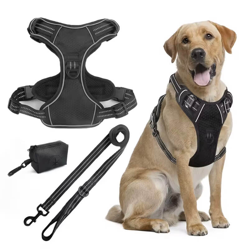 Best dog safety harness best sale